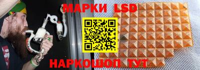 apvp Тверь