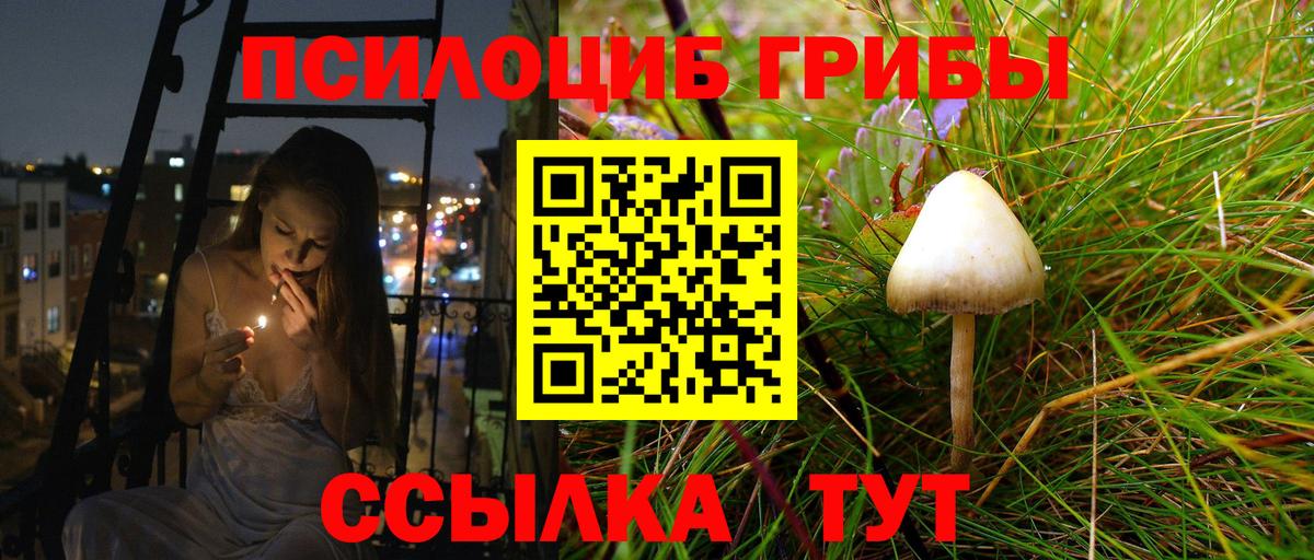 Галлюциногенные грибы Psilocybine cubensis Нижний Новгород