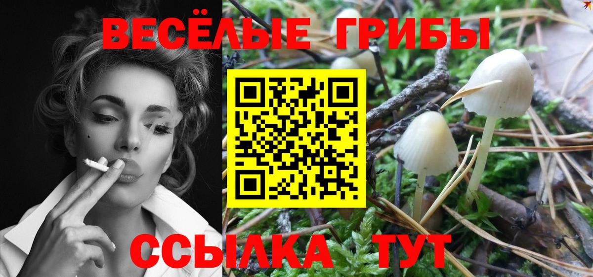 купить наркотики сайты  Псилоцибиновые грибы MAGIC MUSHROOMS  Нижний Новгород  Вход с VPN  Галлюциногенные грибы Psilocybine cubensis 